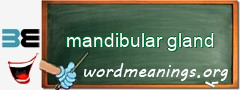 WordMeaning blackboard for mandibular gland